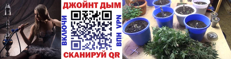 Бошки марихуана SATIVA & INDICA  Купить где  Вилючинск 